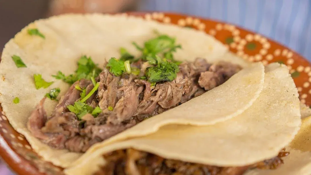 Tacos de borrego en tortilla de maíz con cilantro, en plato de barro